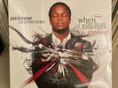 Ambrose Akinmusire WHEN THE HEART EMERGES GLISTENING 2019 2-LP VMP Blue Note