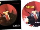 NM/NM NIRVANA IN BLOOM 12