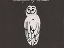 Trampled By Turtles ?- Palomino LP - Bluegrass Folk Vinyl Album NEW Record + DL