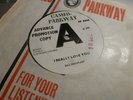 DEE DEE SHARP I REALLY LOVE YOU / STANDING IN 1963 CAMEO C 375 DEMO RARE EX+ CON