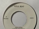 THE HAMILTON MOVEMENT. SHE’S GONE/CONNIE LAVERNE. CAN’T LIVE WITHOUT YOU