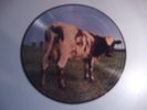 PINK FLOYD-ATOM HEART MOTHER PICTURE DISC-EX CONDITION