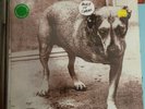 Alice In Chains Self Titled Tripod Unofficial Green Vinyl