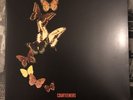 The Courteeners - More. Again. Forever. (LIMITED POP-UP SLEEVE) LP Vinyl Record