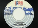 Modern Soul Boogie 45 - David Alexander - U Drive Me Wild - Sound Town - mp3