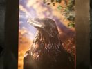 The Stranglers - The Raven Lenticular Cover Vinyl LP Punk