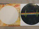 Pink Floyd - The Dark Side Of The Moon RARE USA Picture Disc RARE