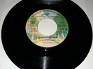 EDDIE  HAZEL Promo 45 - California Dreamin dj VG+ Funkadelic Maggot Brain 1977