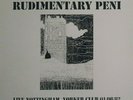 Rudimentary Peni ?– Live Nottingham, Yorker Club, 01/08/1982  white vinyl lp
