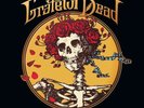 The Grateful Dead **The Best of the Grateful Dead **NEW RECORD LP VINYL