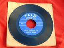DENITA JAMES I Have Feelings Too / Wild SIde 1966 Flip soul 45 US SHIP ONLY