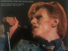 David Bowie Something For The Sigma Kids Rare Live Vinyl Philadelphia 1974