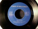 GINO DANELLI & T.K.O BRANDY The Hit Man RARE DETROIT FUNK BOOGIE 45 TRIO 3 Ex+