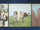 PINK FLOYD - UMMAGUMMA, ATOM HEART MOTHER, MEDDLE. LP RECORDS. EARLY PRESSINGS.