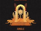 Jungle Back to Mine 6.3oz 2LP Vinyl 2019 BACKLP030