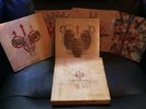 MY CHEMICAL ROMANCE NEW SEALED CONVENTIONAL WEAPONS VINYL COLOURED RECORD BOXSET
