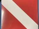 Diver Down [LP] by Van Halen (Vinyl, Jul-2015, Rhino (Label))