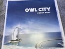 Owl City - Ocean Eyes Blue And White Vinyl