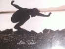 Eddie Vedder Pearl Jam 