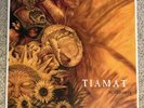 Tiamat Wildhoney LP RARE WHITE vinyl Century Media - Bonus Items Included