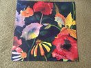 Adrianne Lenker : Songs and Instrumentals  SIGNED  LP PRINT 4AD NEW Big Thief