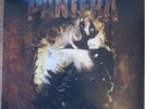 Pantera - Far Beyond Driven .  Double Black Vinyl LP.  Excellent Condition