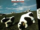 Die Ärzte - Rare Limited Vinyl Lp,Punk,Satanische Pferde,Punk Haus