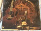 Blackberry Smoke Wood Wire & Roses Record Store Day Orange Vinyl Rare