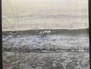 Copeland Ixora vinyl