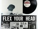 FLEX YOUR HEAD - Dischord Rec TeenIdles MinorThreat Government Issue HC