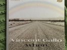 Vincent Gallo “When” Vinyl Record WARP LP87 2001