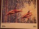 Stone roses vinyl. What The World Is Waiting For 45 RPM. Good Condition. 12 Inch
