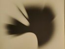 Linkin Park Vinyl LP  A Thousand Suns 2xLP