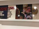 8 Heavy Metal Vinyl LPs W.A.S.P. Manowar Whitesnake Twisted Sister Vixen