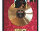Kiss - Hot In The Shade Framed Vinyl Gold Metallized Mounted Record