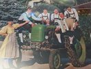 Bachler buam - resi i hol di mit mein traktor/VM/LP 13528