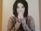 Bjork LP Debut UK 1993 One Little Indian 1st Press INCREDIBLE COPY