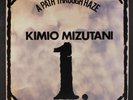 KIMIO MIZUTANI: a path through haze MR 12