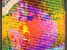 LITTER: $100 fine HEXAGON 12