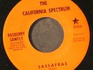 CALIFORNIA SPECTRUM: sassafras / obviously bad RASBERRY SAWFLY  7