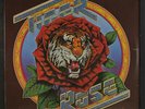ROBERT HUNTER: tiger rose ROUND 12
