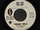 TUESDAY WELD: are you the boy / all through spring and summer PLAZA 7
