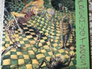 Screaming Trees - Invisible Lantern - SST 188 - LP *First Pressing*