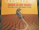 The Doors Lizard In The Studio  Green marble Vinyl, Jim Morrison, incld outtakes