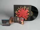 Sunny Day Real Estate Diary Vinyl Gatefold 2009 Sub-Pop Reissue Brand New Sealed