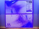 Poesie Noire ?– Pity For The Self Or We'll Teach You To Dance      Vinyl LP 1989