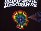 Psychedelic Unknowns Volume 8 LP (black vinyl)