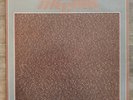 THE CURE - The Peel Sessions - LP - Live BBC 04/12/78 - Edition 1987