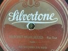 Silvertone 3061 OLD SOUTHERN JUG BAND Hatchet Head Blues 24'  Jug Band 78 rpm V+