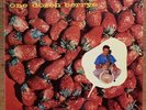 Chuck Berry One Dozen Berrys Japan LP 1985 PLP-848 P-Vine Special